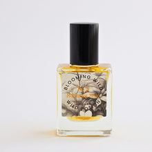 Morning Mojo  Aromatherapy Potion | Energy + Focus