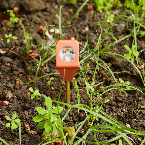 Soil Hygrometer