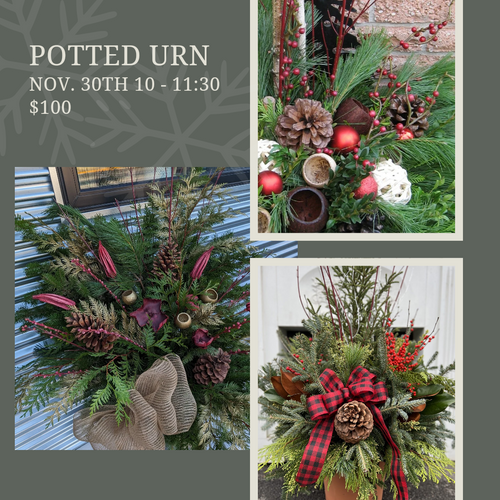 Holiday Potted Urn