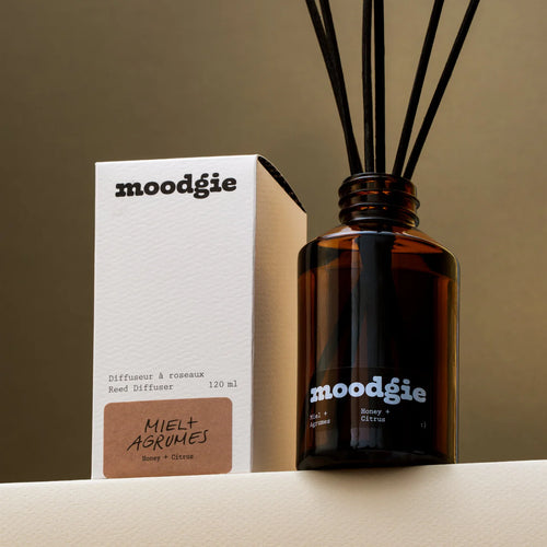 Moodgie Citrus and Honey Scented Reed Diffuser Canada