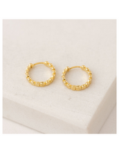 Lover's Tempo - Cleo Earrings Gold